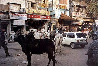Улица в Дели в Индии