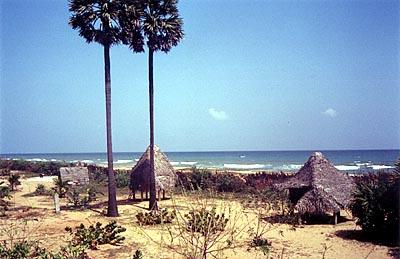 Вид на пляж, Ауровиль, Индия